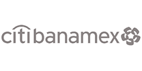 LOGO CITIBANAMEX